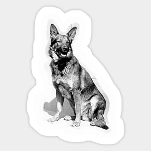 Vintage German Shepherd dog, a beautiful purebred dog Sticker